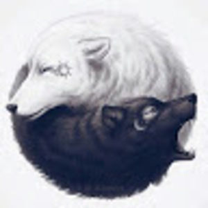 Meet your Posher, Rachael